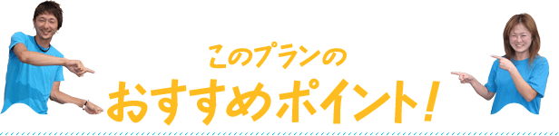 このプランのおすすめポイント