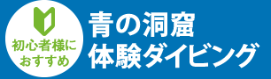 青の洞窟体験ダイビング