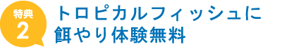 トロピカルフィッシュに餌やり体験無料