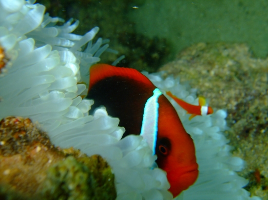 dscf1773
