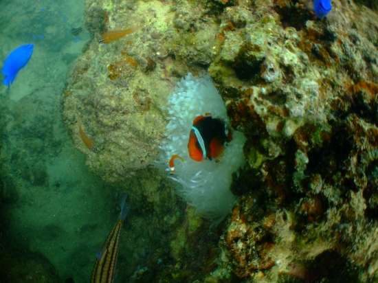 dscf2489